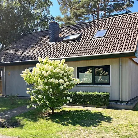 Ferienwohnung Bodstedt *